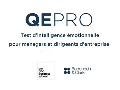 QEPro, intelligence émotionnelle du manager coaching professionnel et formations chez CRPP Coaching à Fromental, près de Limoges en Limousin
