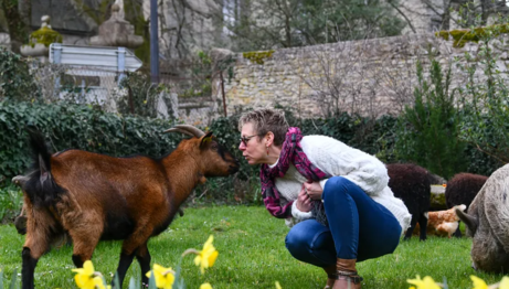 Thérapie de médiation par l'animal grâce à Laurence Moreau CRPP Coaching à Fromental près de Limoges en Limousin