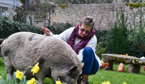 L'animal au service de votre bien-être grâce à Laurence Moreau CRPP Coaching à Fromental près de Limoges en Limousin