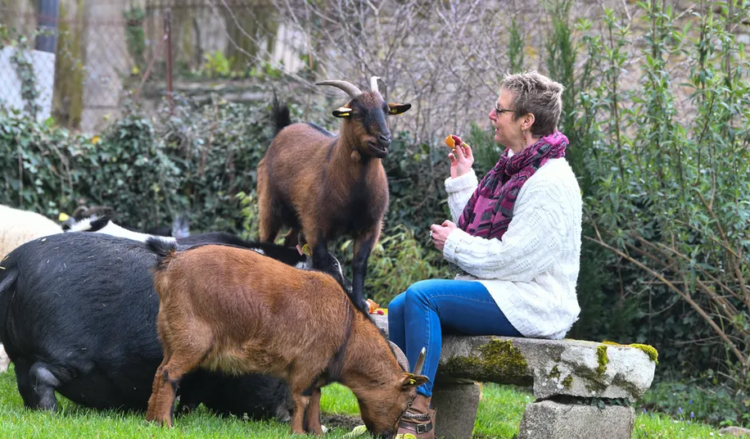 Médiation par l'animal grâce à Laurence Moreau CRPP Coaching à Fromental près de Limoges en Limousin