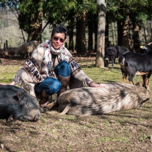 Scrofathérapie ou Médiation par l'animal grâce à Laurence Moreau CRPP Coaching à Fromental près de Limoges en Limousin