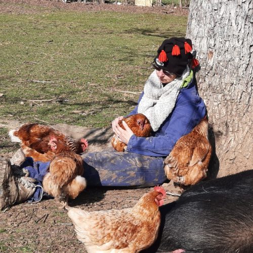 Cotcot thérapie Médiation par l'animal grâce à Laurence Moreau CRPP Coaching à Fromental près de Limoges en Limousin