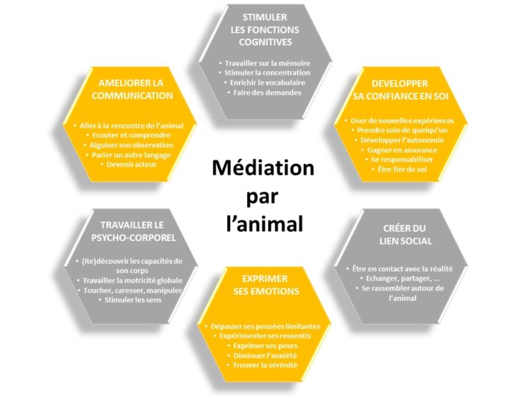 Présentation de la médiation par l'animal grâce à Laurence Moreau CRPP Coaching à Fromental près de Limoges en Limousin