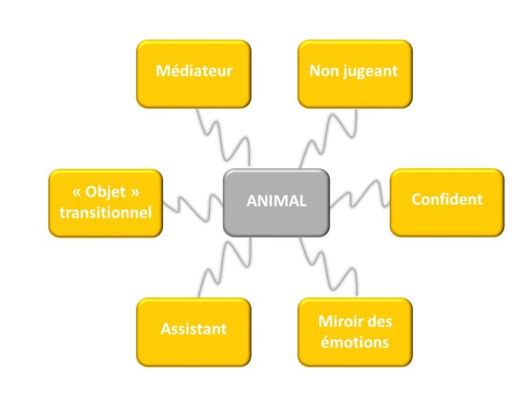 Les avantages de l'animal en coaching grâce à Laurence Moreau CRPP Coaching à Fromental près de Limoges en Limousin
