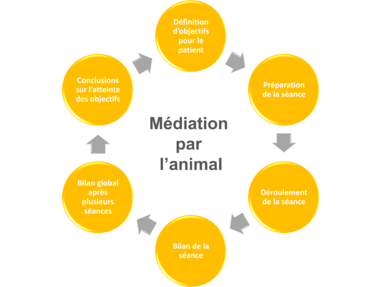 Cycle de Médiation par l'animal grâce à Laurence Moreau CRPP Coaching à Fromental près de Limoges en Limousin