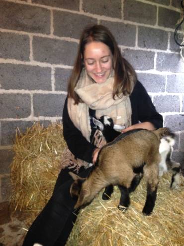 crpp-coaching-seance-mediation-par-l'animal
