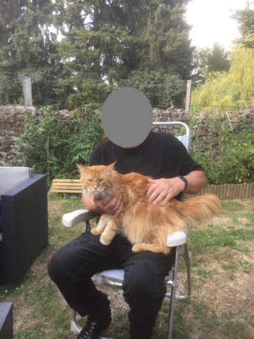 crpp-coaching-seance-mediation-par-l'animal