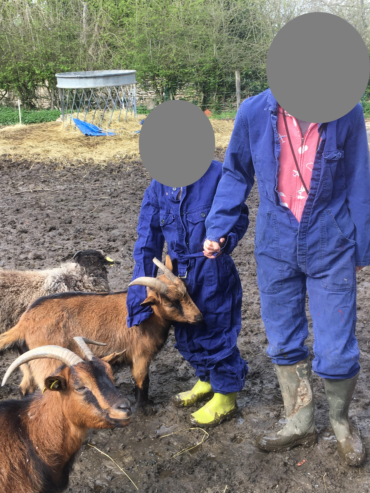 crpp-coaching-seance-mediation-par-l'animal