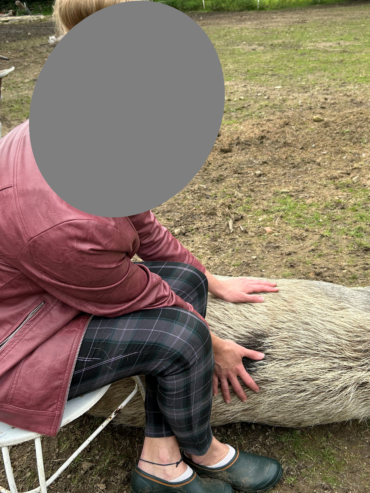 crpp-coaching-seance-mediation-par-l'animal