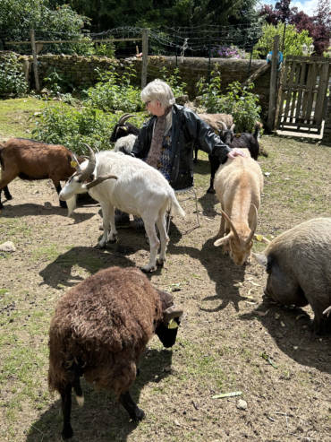 crpp-coaching-seance-mediation-par-l'animal