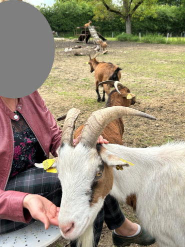 Séances médiation animale (12)