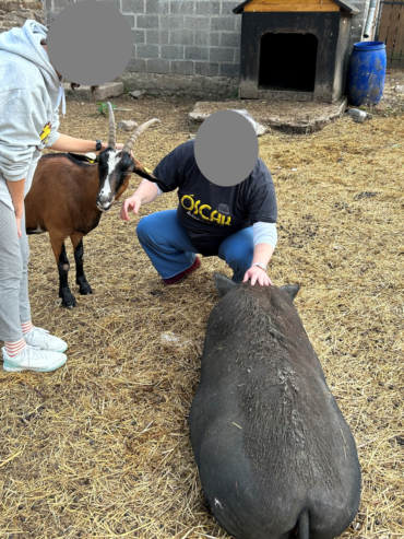 Séances médiation animale (16)