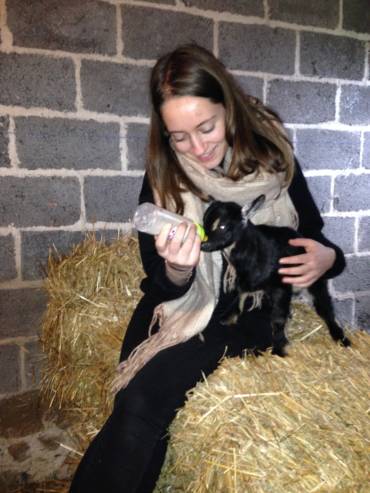 crpp-coaching-seance-mediation-par-l'animal