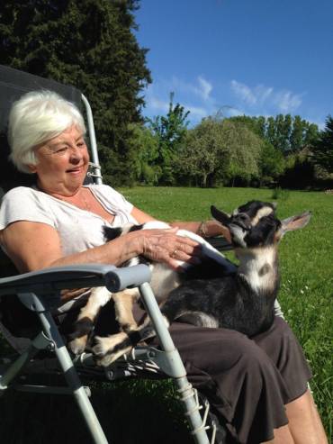 crpp-coaching-seance-mediation-par-l'animal