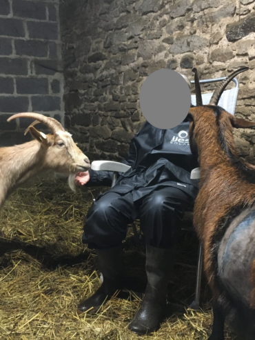 crpp-coaching-seance-mediation-par-l'animal