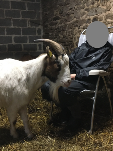 crpp-coaching-seance-mediation-par-l'animal