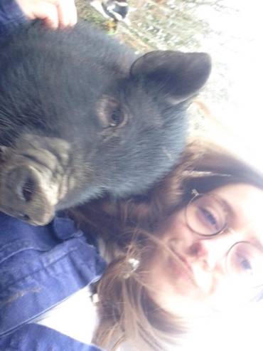 crpp-coaching-seance-mediation-par-l'animal