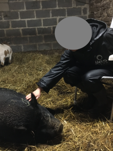 crpp-coaching-seance-mediation-par-l'animal