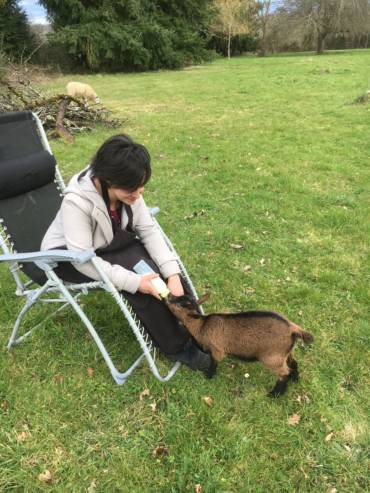 crpp-coaching-seance-mediation-par-l'animal