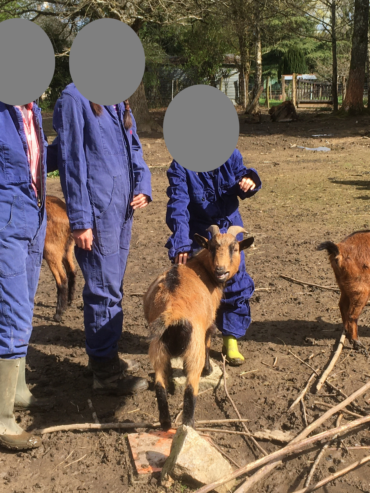 crpp-coaching-seance-mediation-par-l'animal