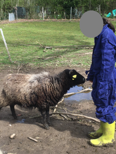 crpp-coaching-seance-mediation-par-l'animal