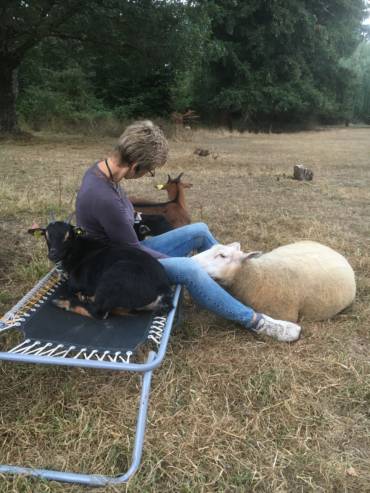 crpp-coaching-seance-mediation-par-l'animal