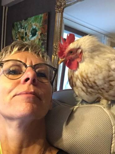 crpp-coaching-seance-mediation-par-l'animal