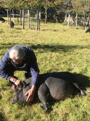 crpp-coaching-seance-mediation-par-l'animal